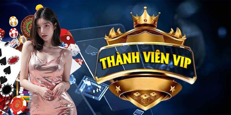 Thông tin giới thiệu tổng quan về cấp thành viên VIP