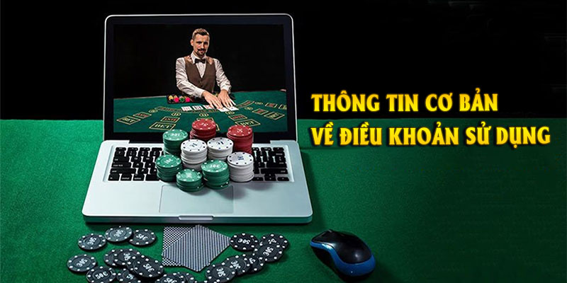 Tìm hiểu thông tin cơ bản cần nắm